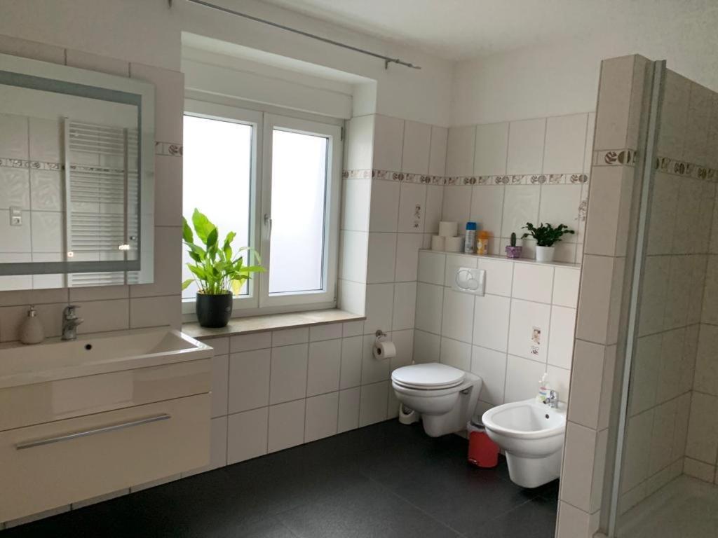 Guenstige Zimmer-Unterkunft Zimmer Mit Gemeinschaftsbad Lorrach Bagian luar foto